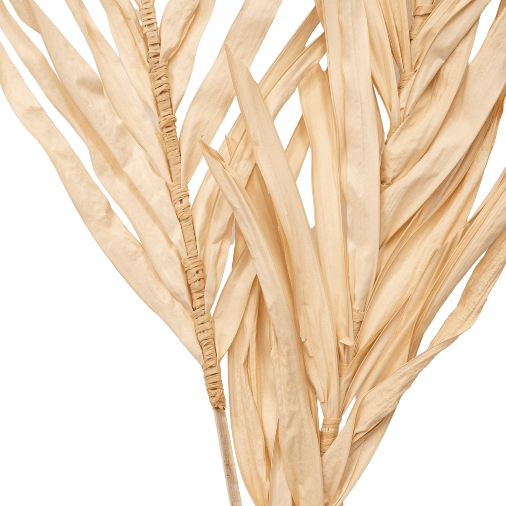 Zoco Home Palm Leaf | Set of 2 | Natural 90cm