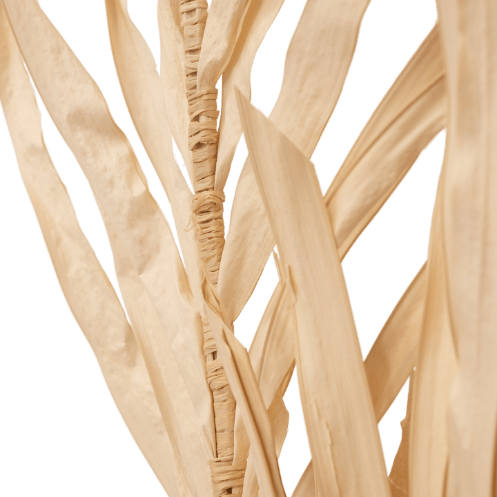 Zoco Home Palm Leaf | Set of 2 | Natural 90cm