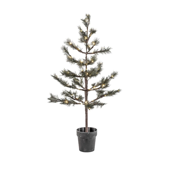 Zoco Home Christmas decor Peuce Christmas Tree | 125 cm