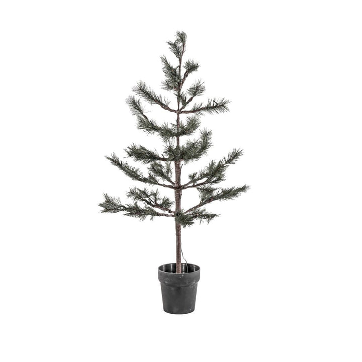 Zoco Home Christmas decor Peuce Christmas Tree | 125 cm