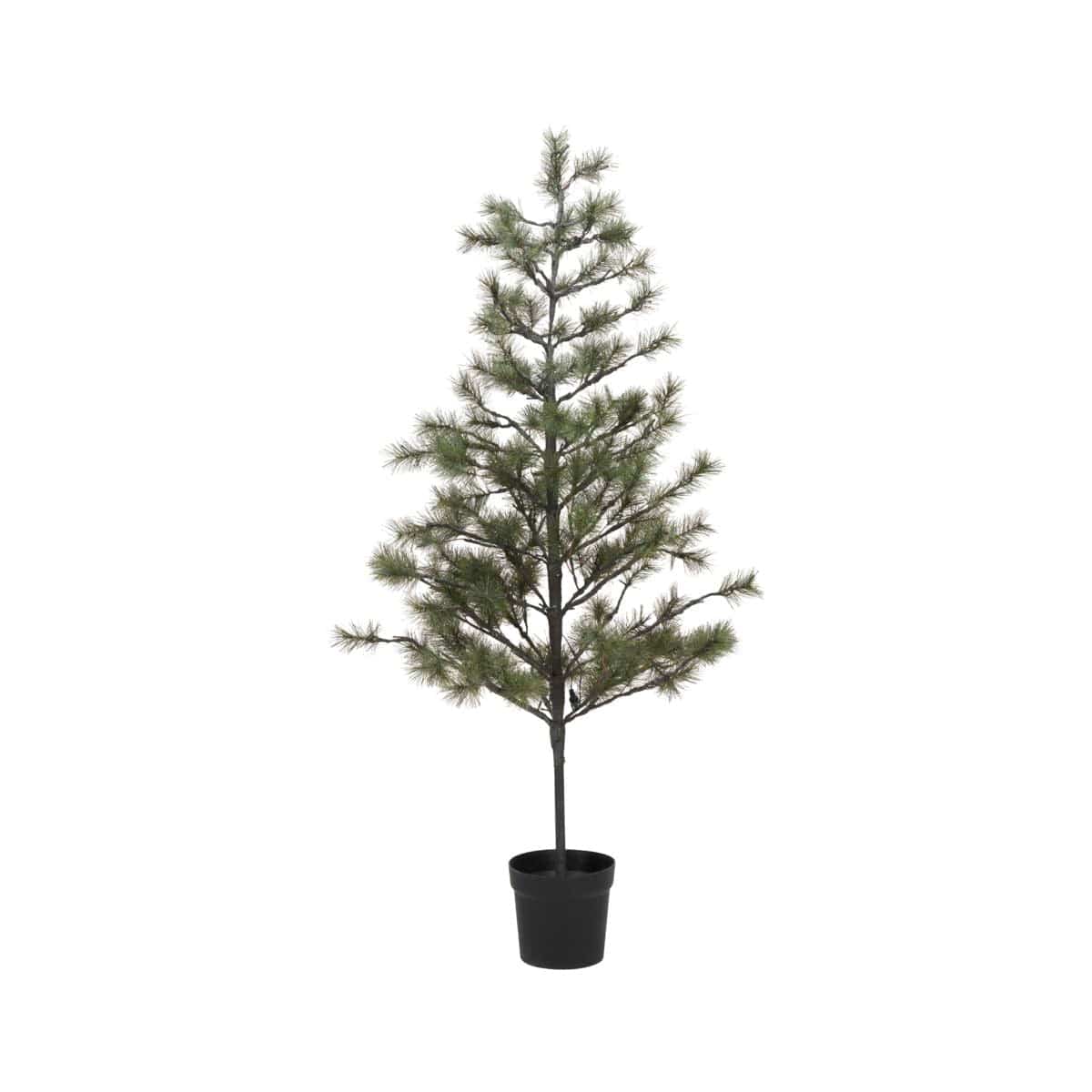 Zoco Home Decor/Christmas Peuce Christmas Tree | 180cm
