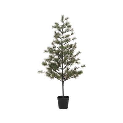Zoco Home Decor/Christmas Peuce Christmas Tree | 180cm