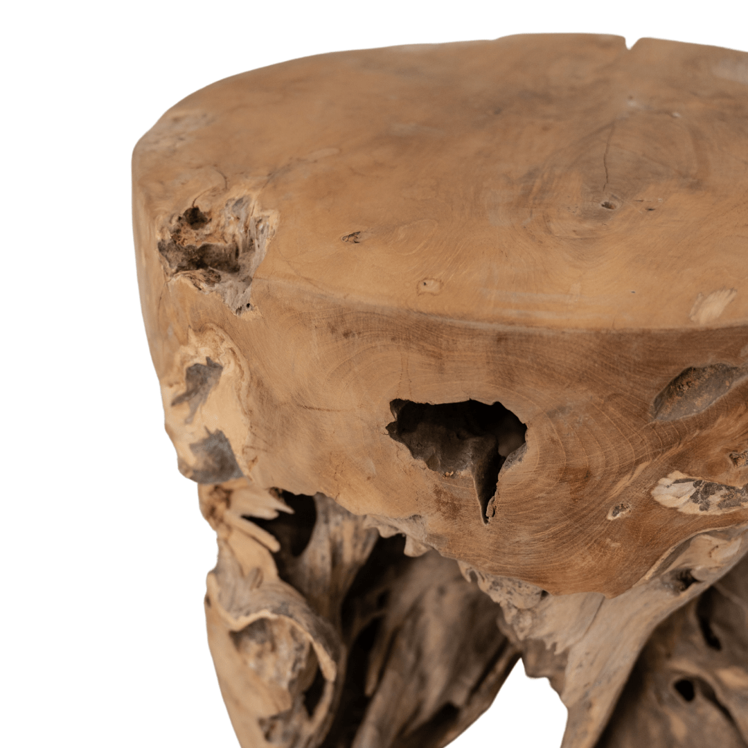 Zoco Home Furniture Root Stool