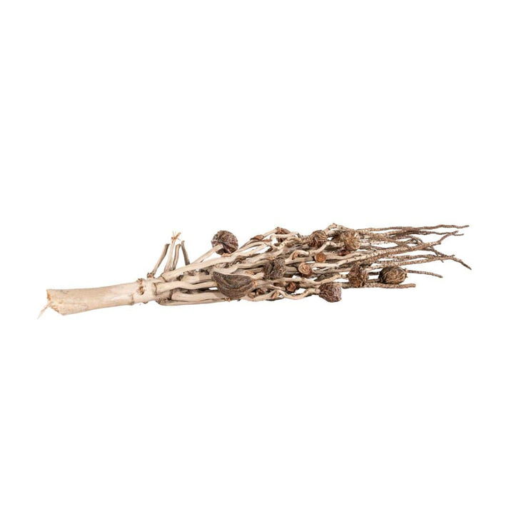 Zoco Home Home accessories Santfruit Branch | Natural