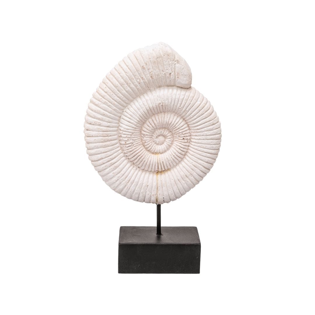 Zoco Home Home Accesories Shell Cement Statue | 16x7x25cm