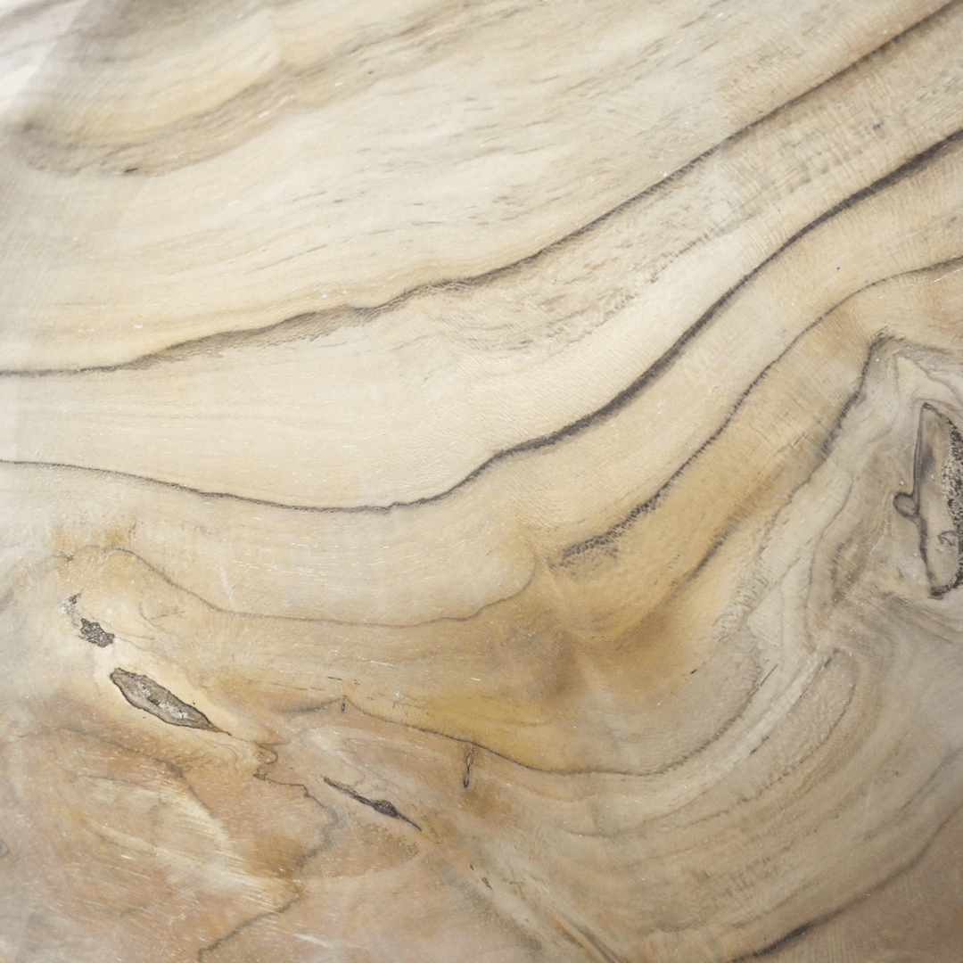 Zoco Home Decor/Kitchen Teak Serving Plate | 30x6cm