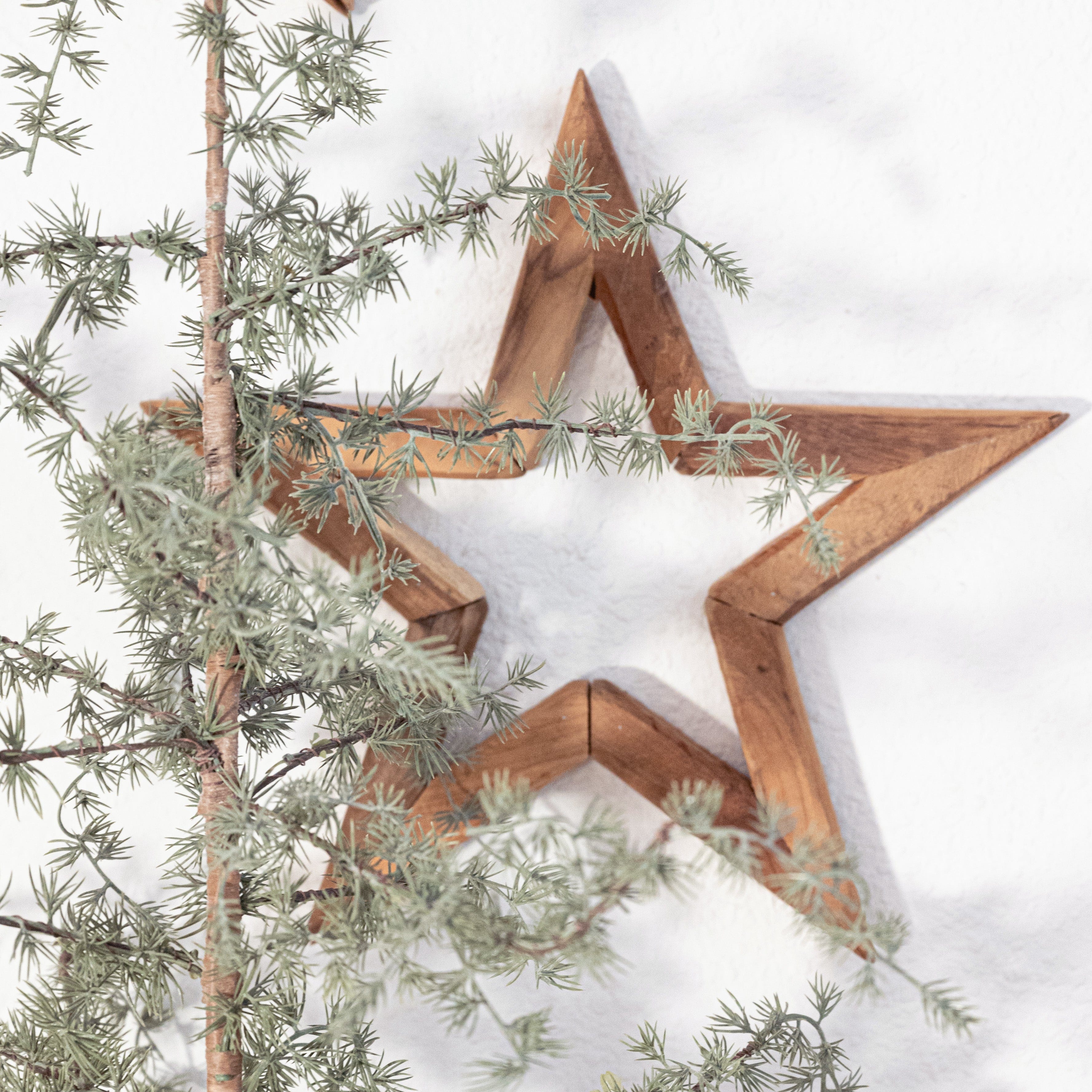 Zoco Home Teak Star Ornament