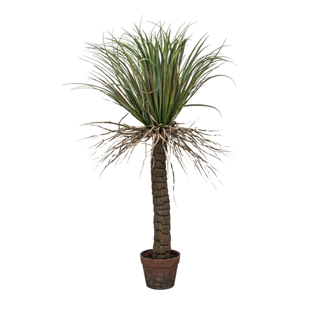 Zoco Home Decor/Accessories Wild Yucca Tree | Interior Decor Plant | 110 cm