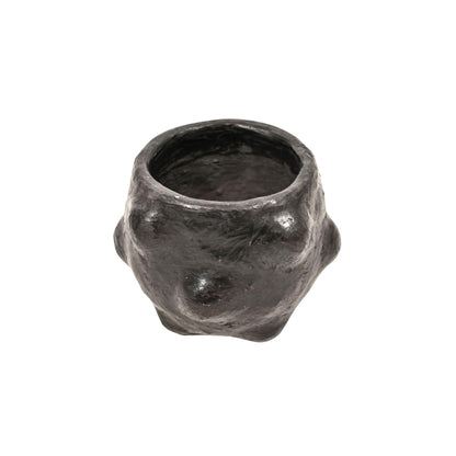 Zoco Home pot Decoration Cactus Pot