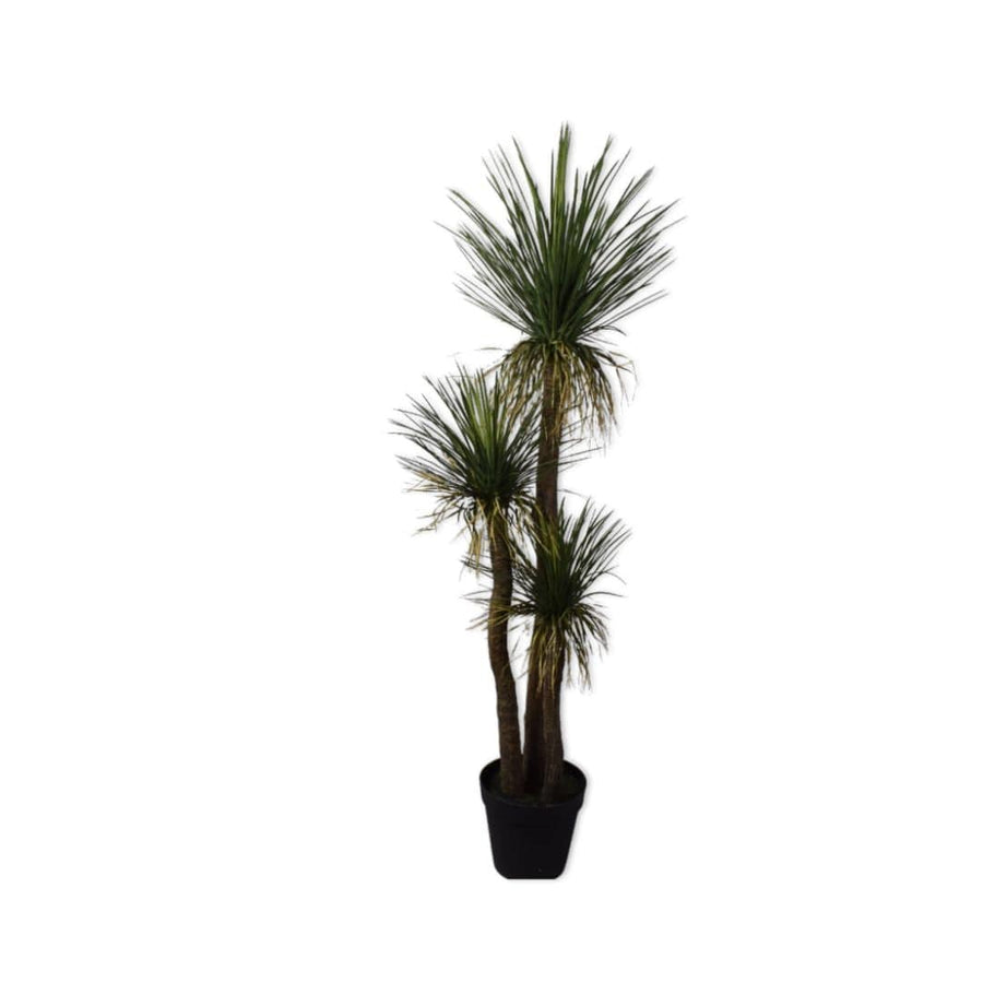 Zoco Home Dracena | 106cm