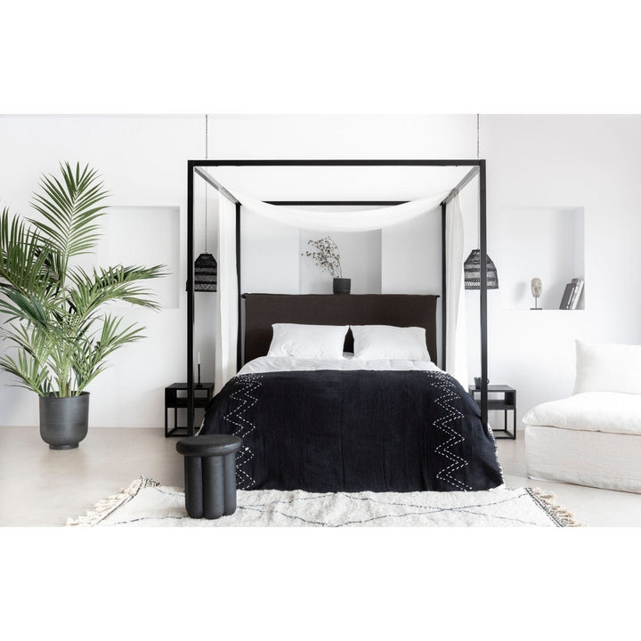 Zoco Home Home Accesories Interior Decor Plant | Kentya Luxus 225cm