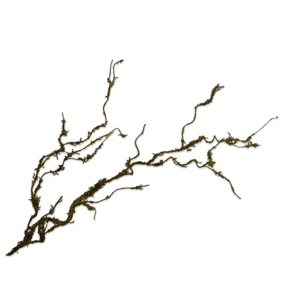 Zoco Home Moss Branch | 109cm