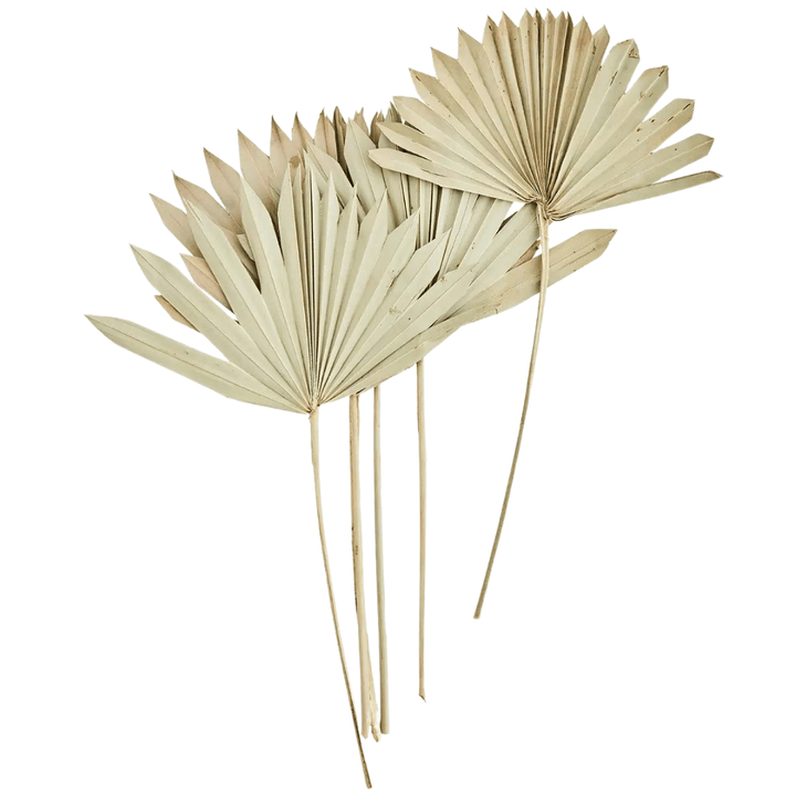 Zoco Home Palm Leaves Bunch | Natural 30x50cm