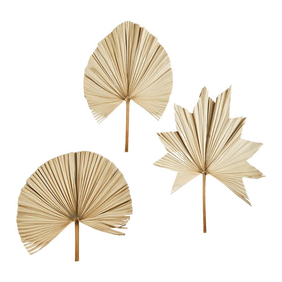 Zoco Home Palm Leaves Set | Natural 60-70cm