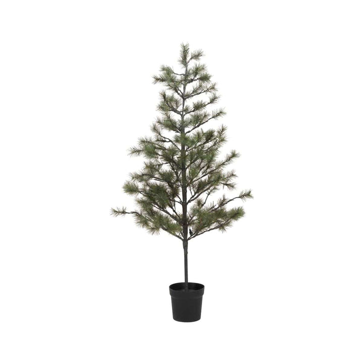 Zoco Home Home accessories Peuce Christmas Tree | 180cm