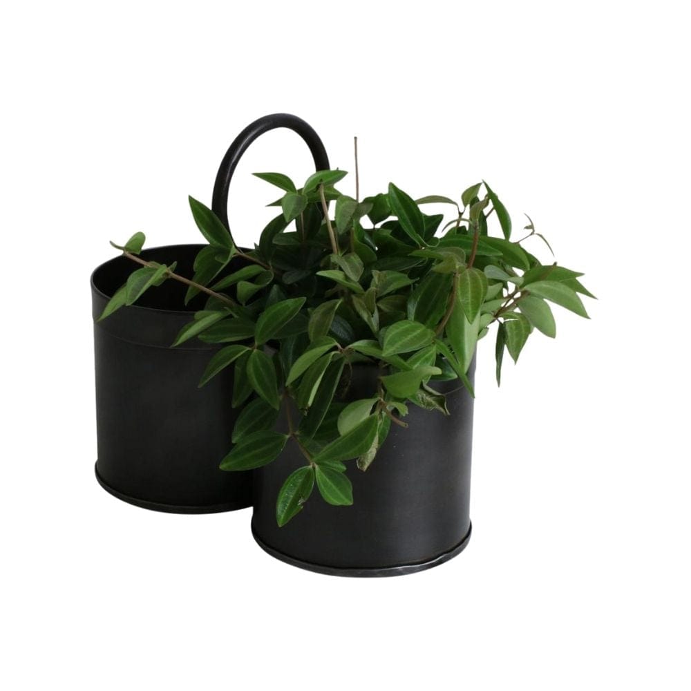 Zoco Home Home accessories Vintage Finished Double Vegetable Holder | Black